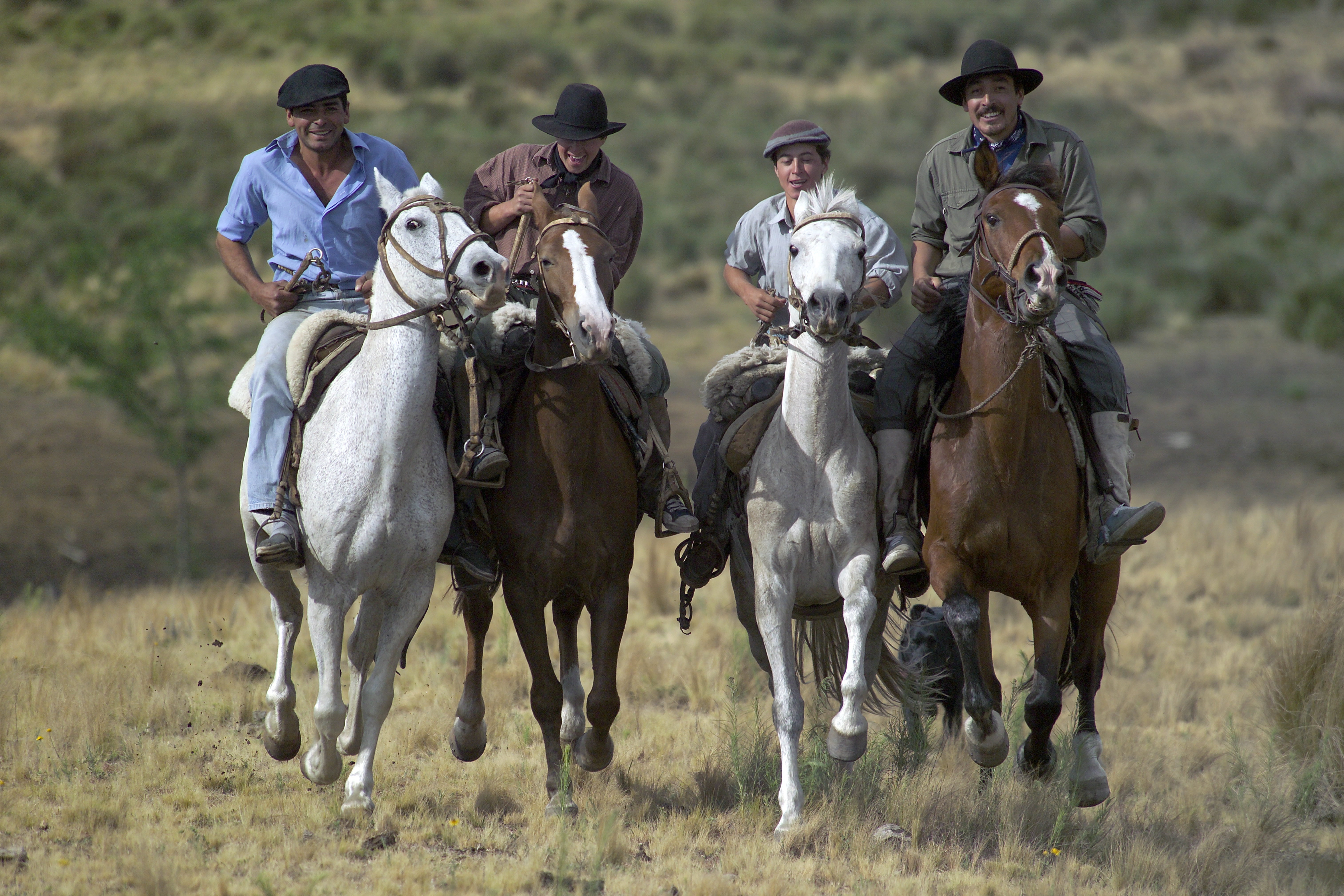 Day 2: Meet the mounts at Los Potreros