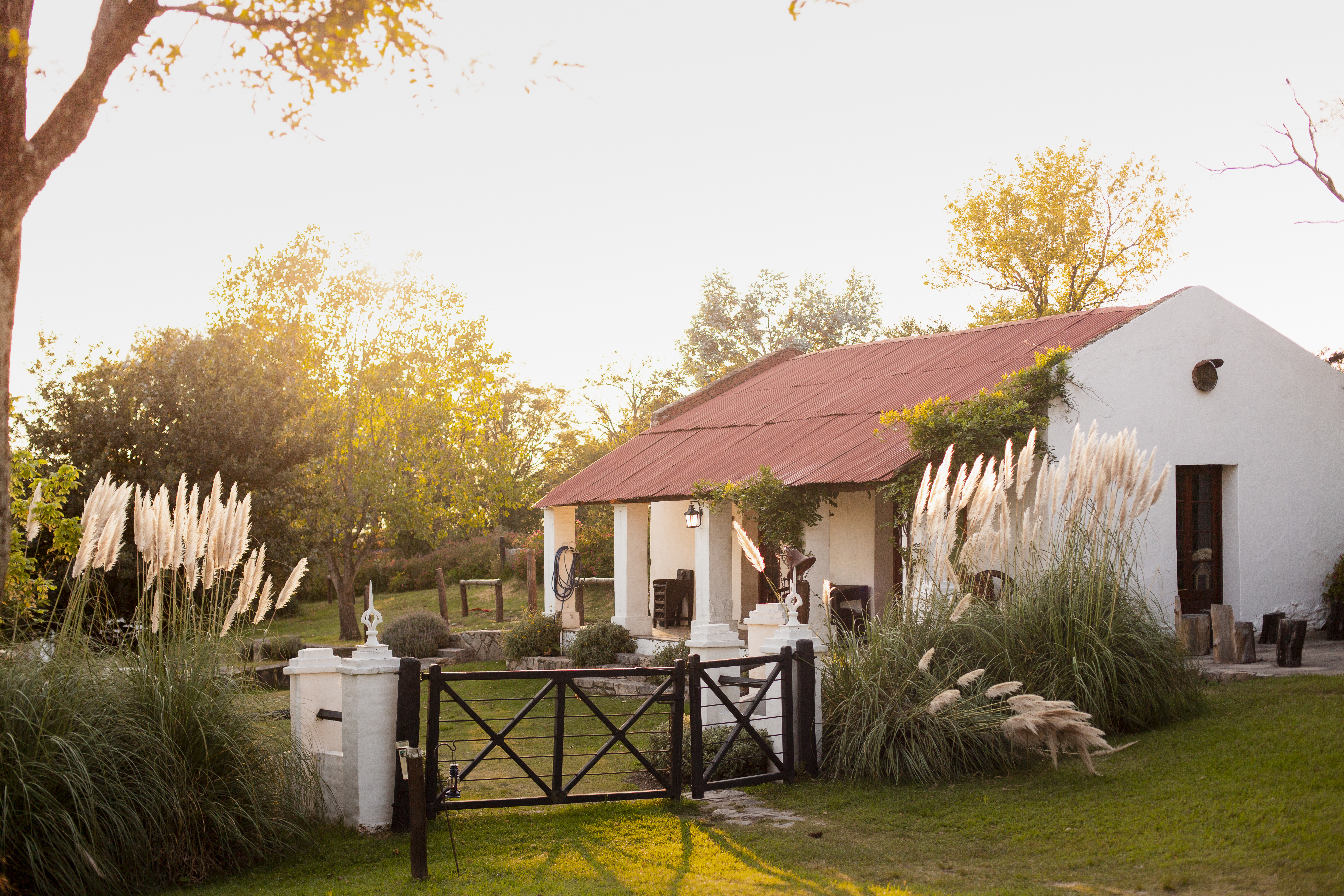 Days 6-8: Learn from the Gauchos