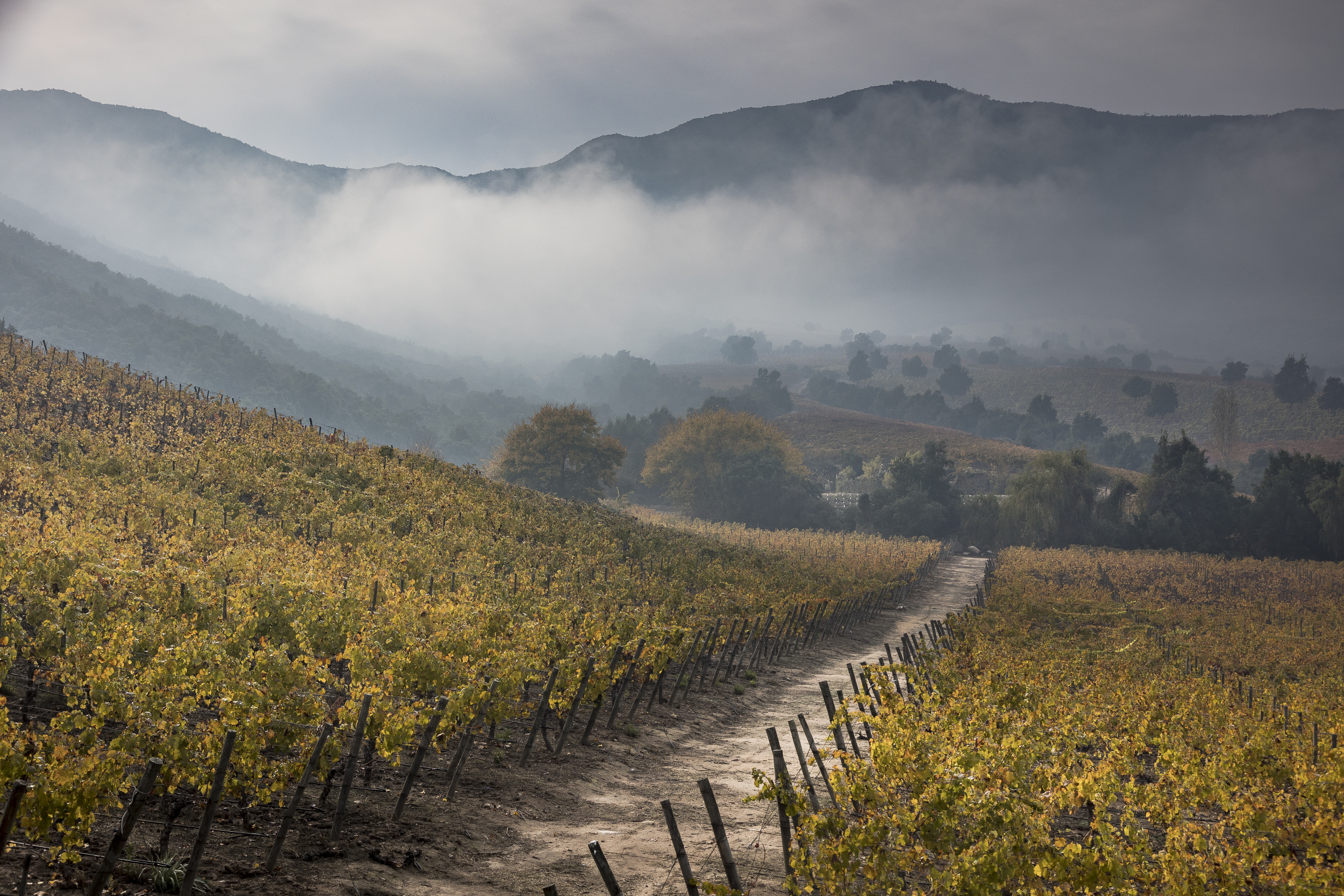 Days 9-11: Fly north to warmth and wine