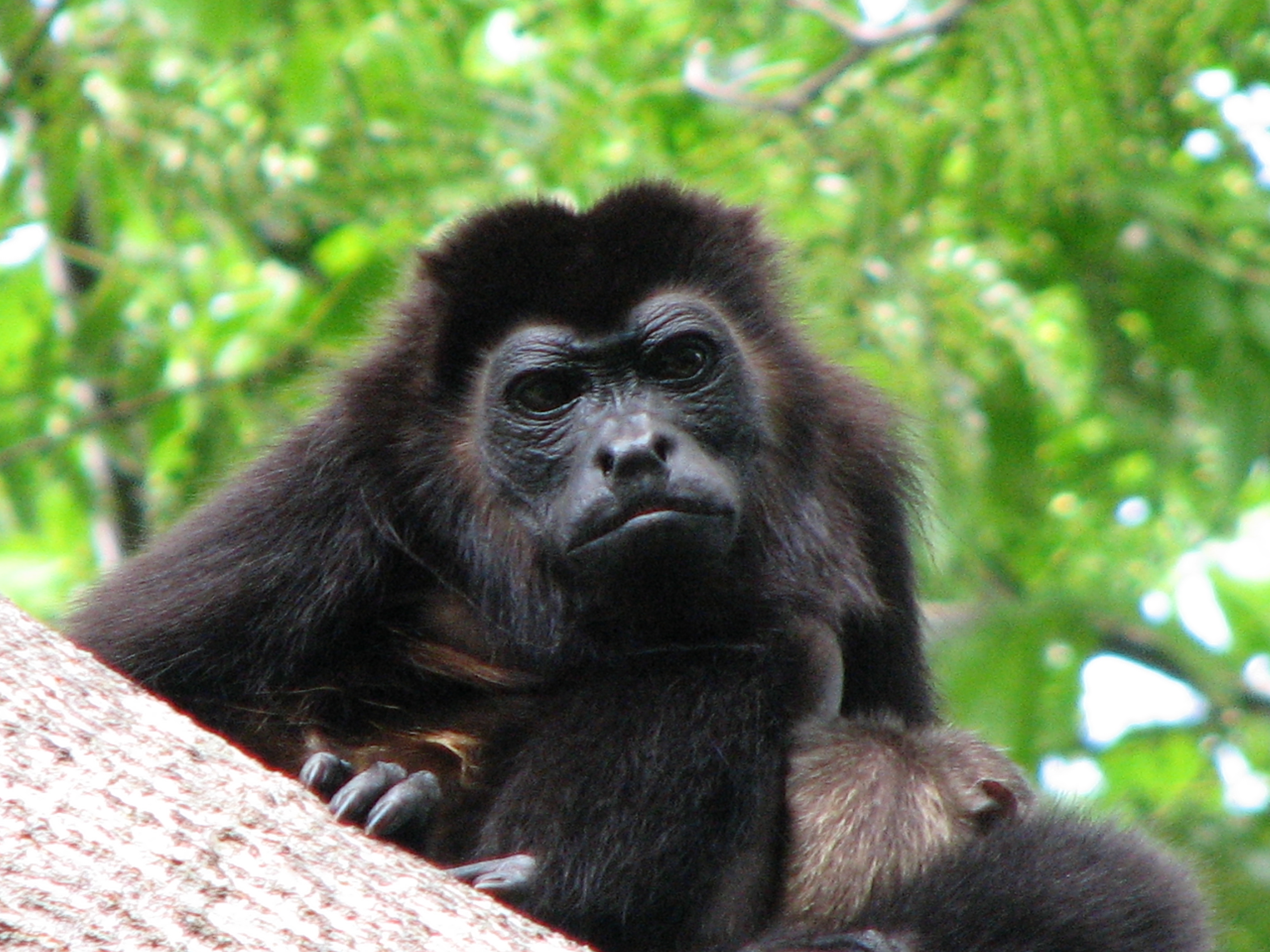 Days 7-11: Relax & Reconnect: Nature and Wildlife at Morgan’s Rock